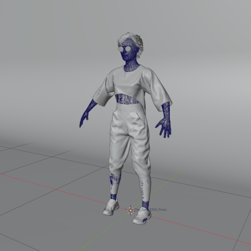 Cloth NeXt character collision cage